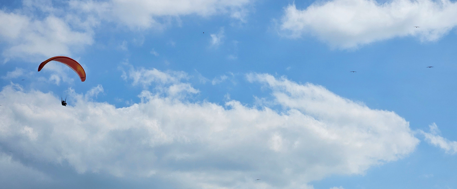 Paragliding in the sky